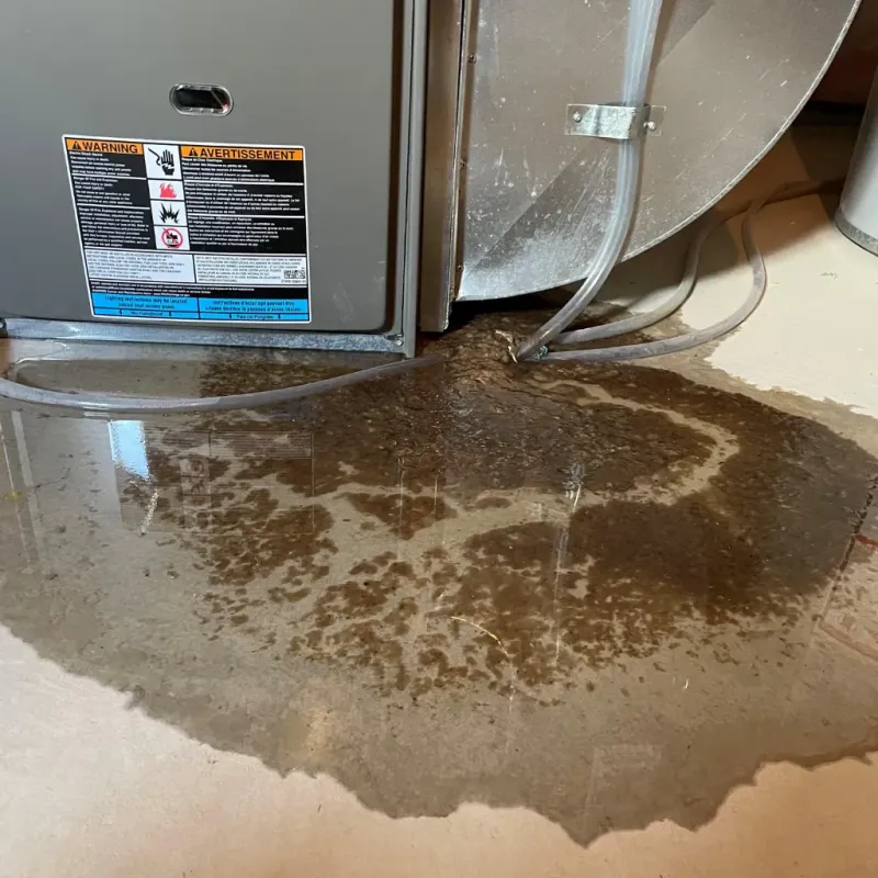 Appliance Leak Cleanup in Harlan, IA